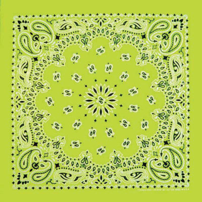 Hav-A-Hank Novelty Bandana - Neon Green Paisley, 22" W x 22" L
