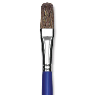 Blick Scholastic Red Sable Brush - Filbert, Long Handle, Size 16