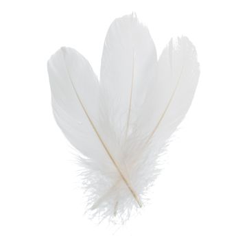 Open in modal - John Bead Goose Feathers - White