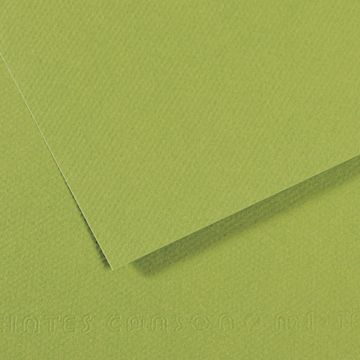 Open in modal - Canson Mi-Teintes Drawing Paper - 19" x 25", Apple Green, Single Sheet