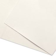 Artfix Acrylic Primed Polyester Canvas by the Yard