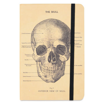 Cavallini Skull Small Notebook, front of notebook