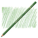 Holbein Artists' Colored Pencil - Cactus Green, OP292