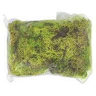 Schulcz Scale Model Icelandic Lichen Moss