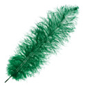 John Bead Ostrich Drab Feather - Emerald