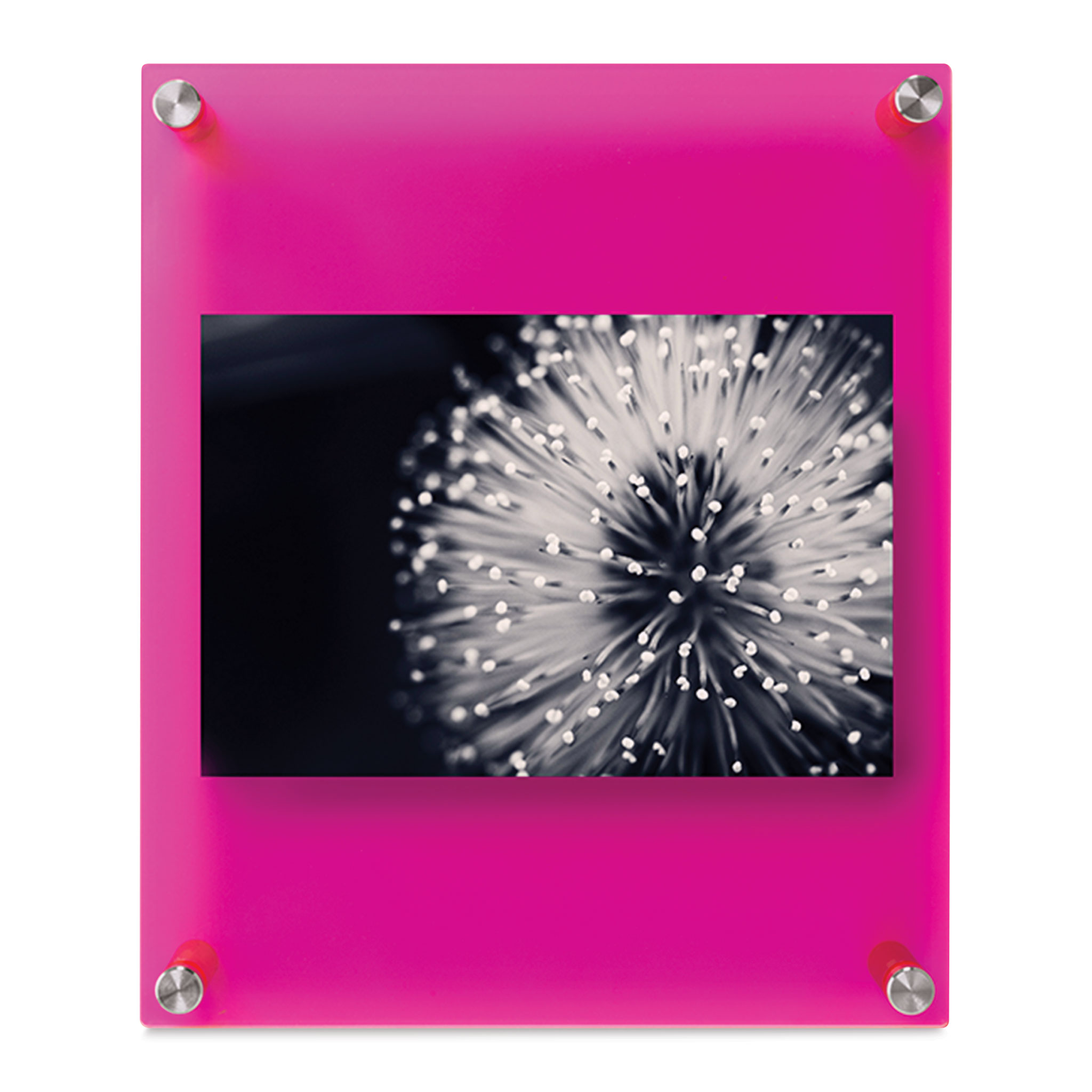 Wexel Art Double Panel Jewel Tone Acrylic Frame - Neon Pink with Silver Hardware, 10 x 12