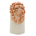 Ritual Glaze Moon Rocks Glaze - Pastel Orange
