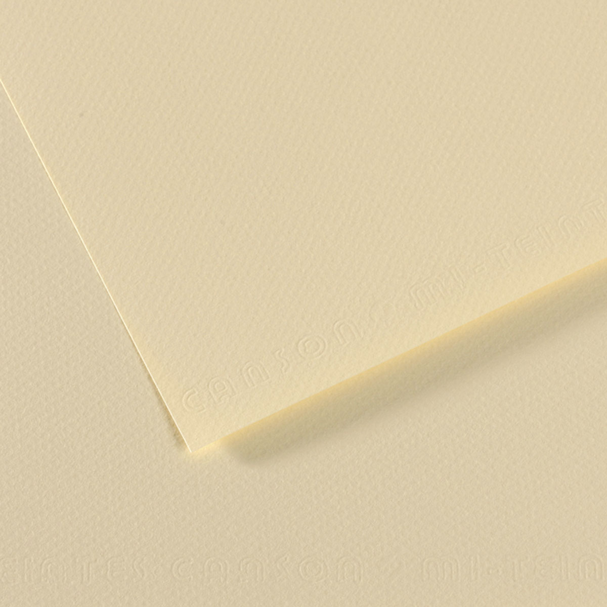 Canson Mi-Teintes Drawing Paper - 19 x 25, White, Single Sheet