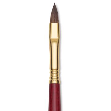 Open in modal - Blick Master Synthetic Kolinsky Brush - Short Handle, Filbert, Size 8, close-up