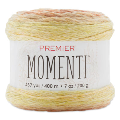 Premier Yarn Momenti Yarn - Meadow (side view with label)