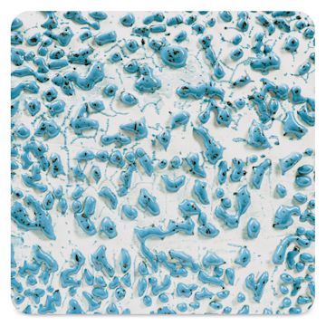 Open in modal - Amaco Crawls Glaze - CR-22 Speckled Teal, Pint