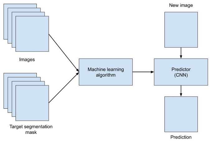 Ultrasound AI Process