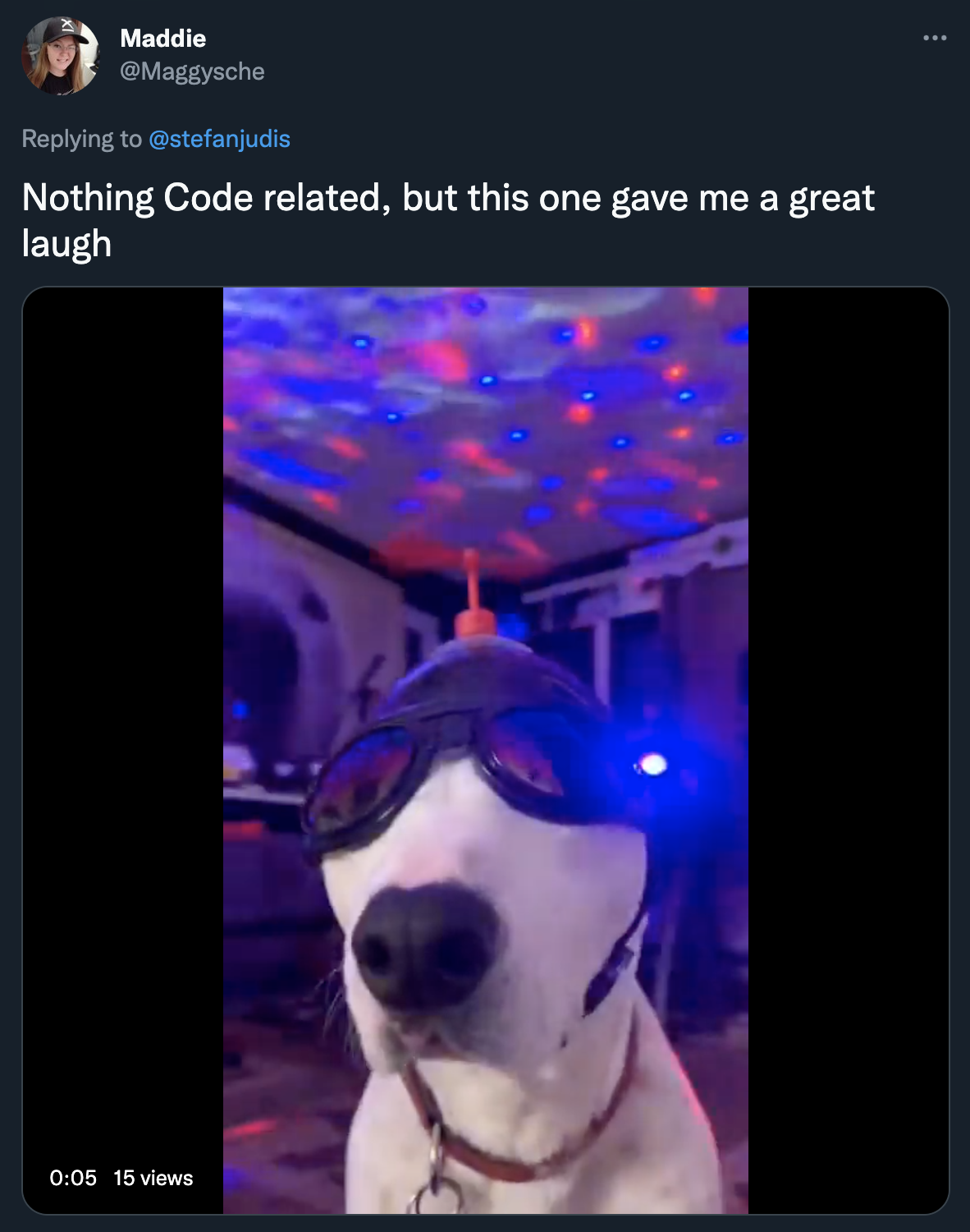 Tweet from Maddie showing a dog with pilot glasses.