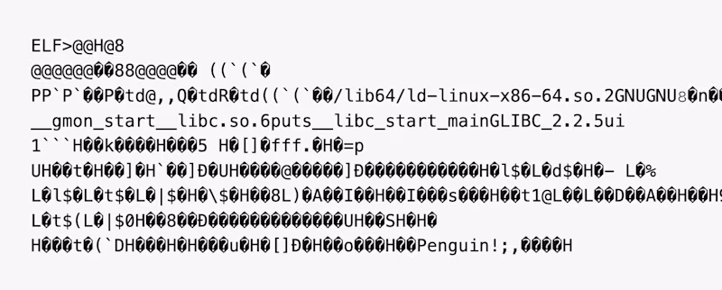 Cat of an executable showing random characters