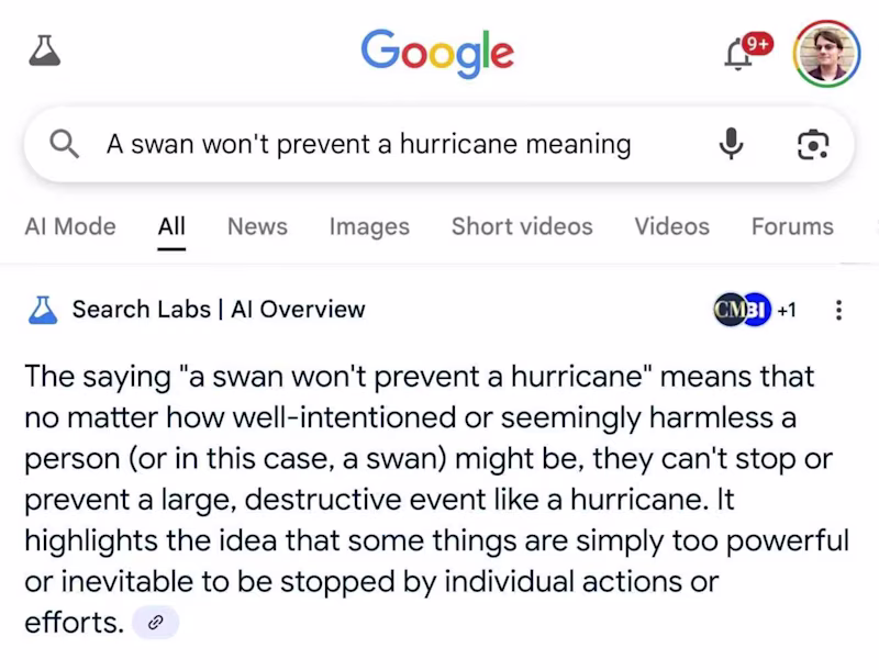 Google search explaining "A swan won't prevent a hurricane meaning"
