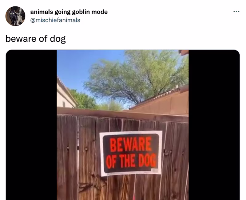 Tweet: Beware of the dog