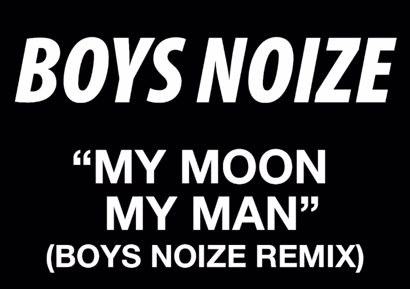 Feist - My Moon My Man (Boys Noize Remix)