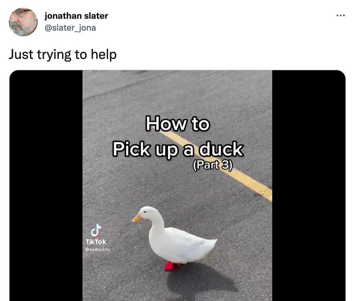 TikTok video with the headline "How to pick up a duck"
