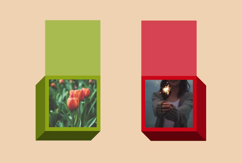 Two 3d boxes that reveal an image.