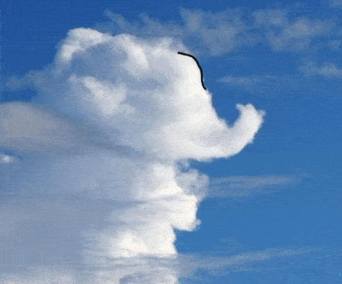 A visible cloud. An elephant image will be drawn on top of it.