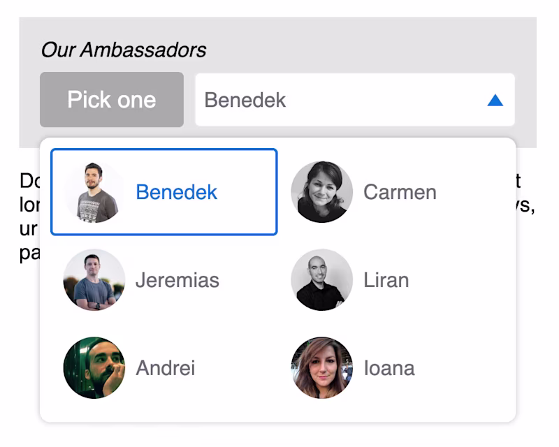 A custom styled select menu