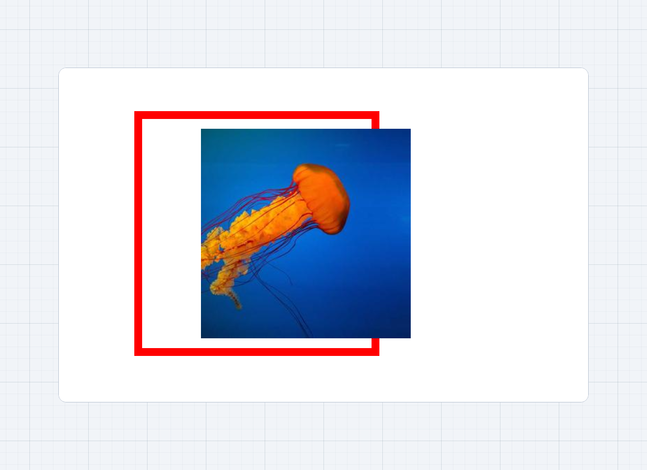 A container with a red border showing that image can overflow. 