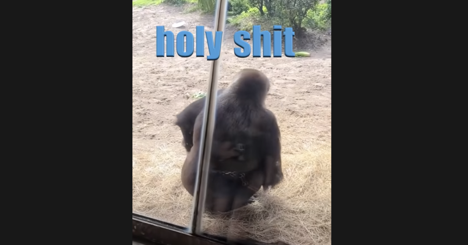 An ape with the headline "holy shit"