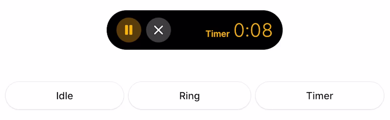 A timer UI showing pause, stop and the current time.