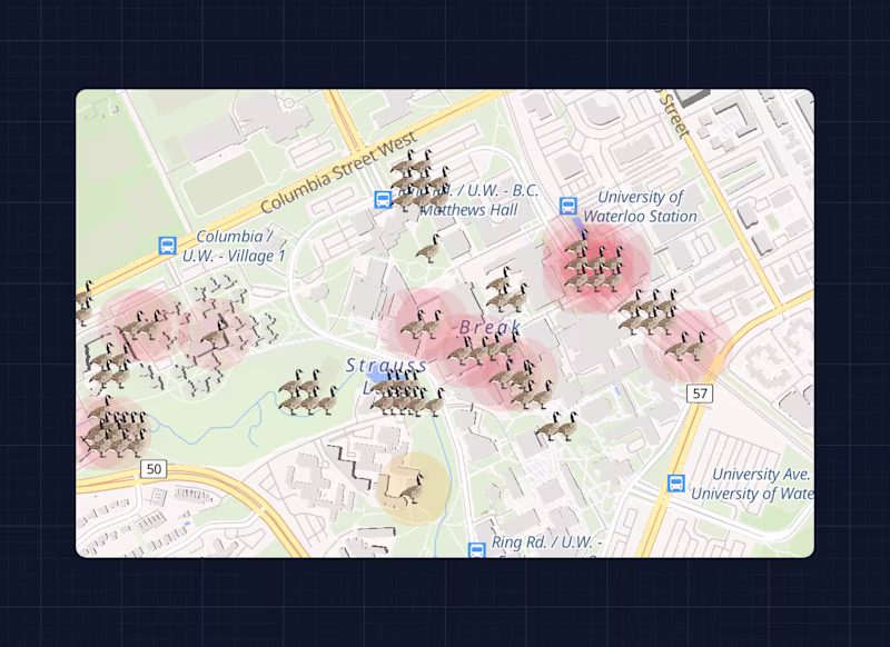 A map with highlighted geese