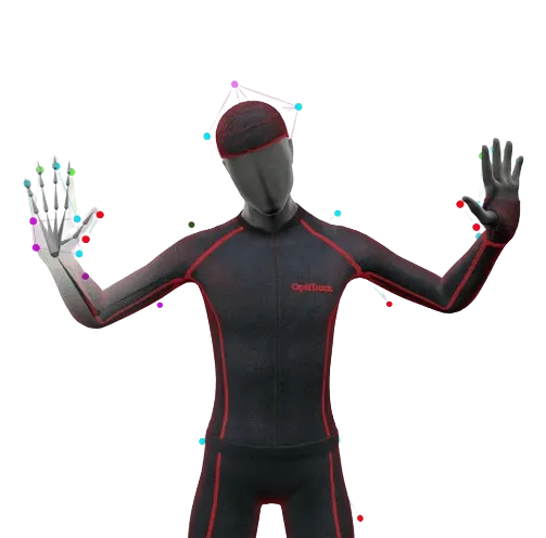 Motive - Content - Skeletal - Media