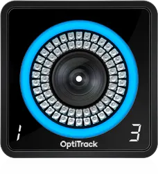 Downloadable Asset