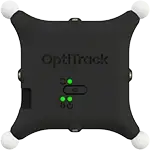 Downloadable Asset