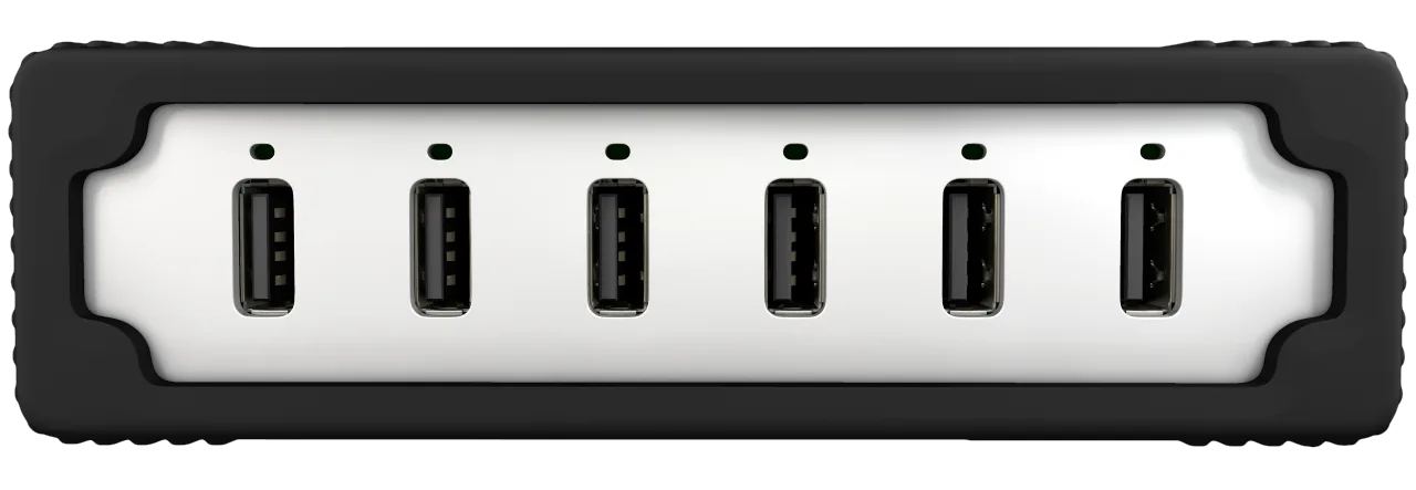 Downloadable Asset