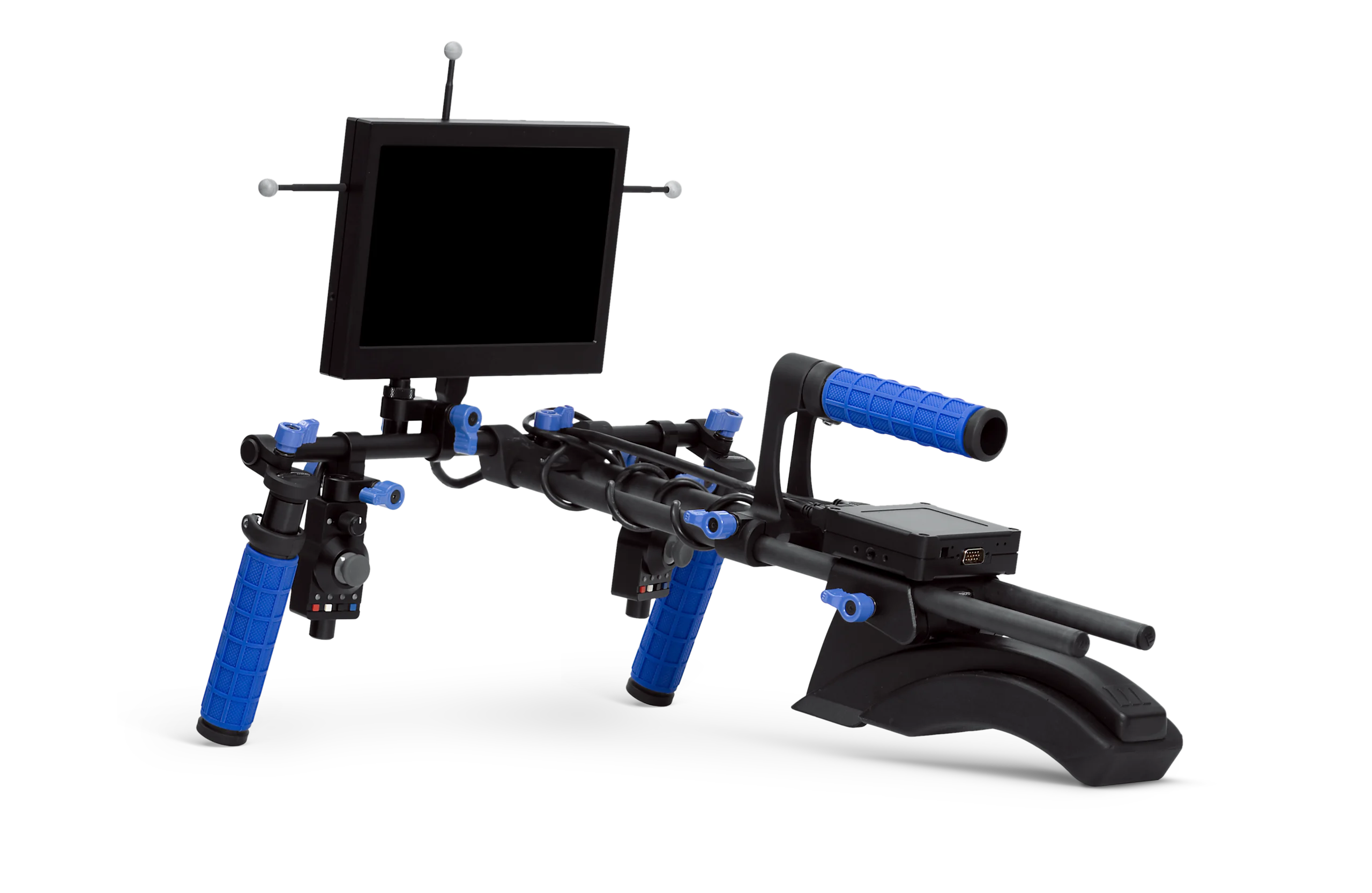 Downloadable Asset