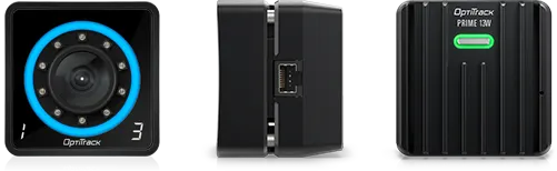 Downloadable Asset