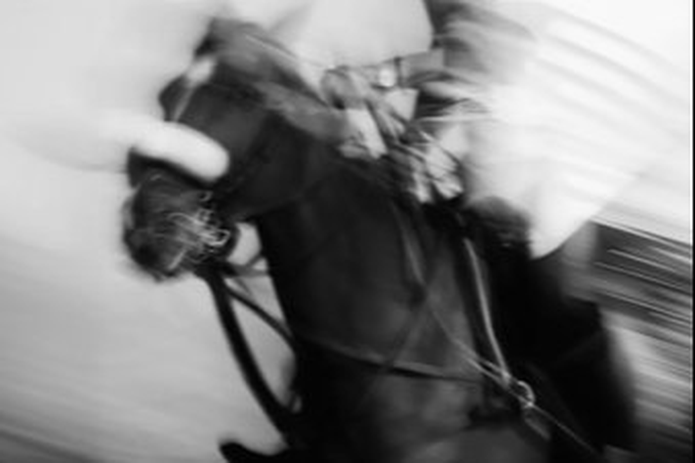 US Polo Sponsorship Thumbnail