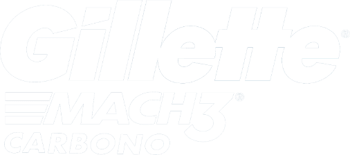 Gillette Logo