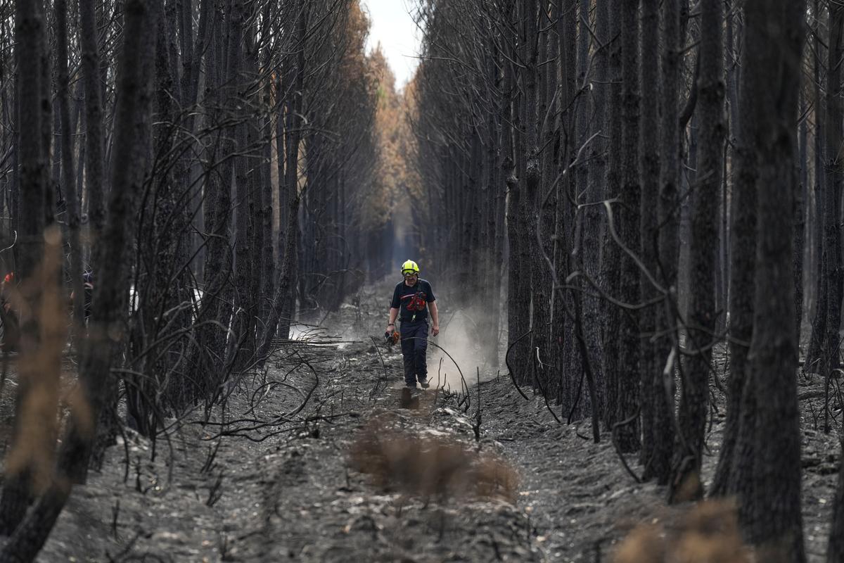 French wildfire near Bordeaux contained as 1,500 firefighters battle separate blaze in Provence