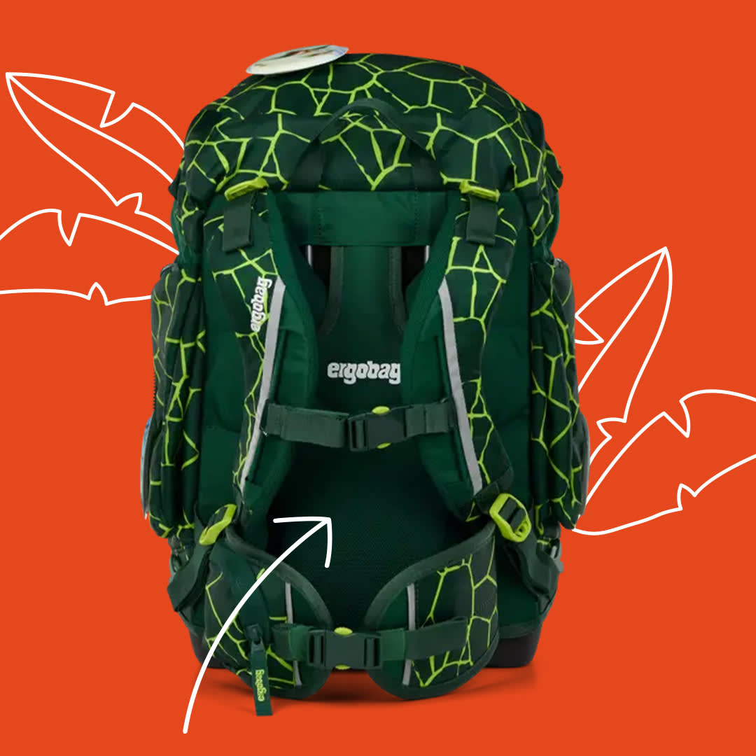 page dino 1-1 rueckensystem