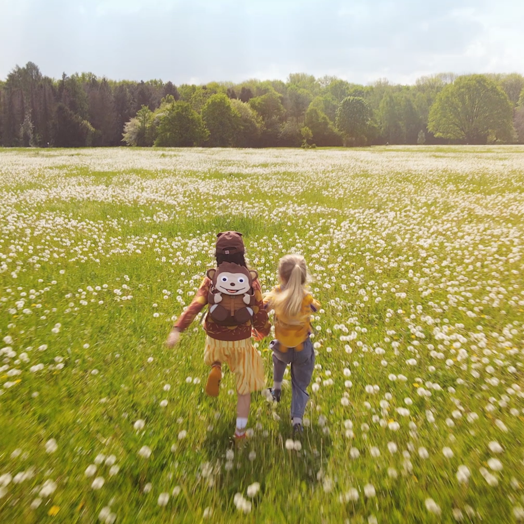 afz-nl-preiserhoehung-social-2   