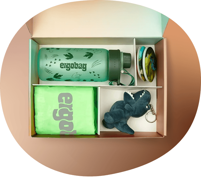 content-feature-zubeoer-individualiserung-fan-box-vorteilspreis-im-bundle-2024-25