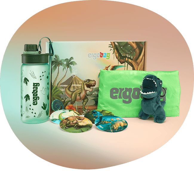 content-feature-zubeoer-individualiserung-fan-box-zum-sammeln-02