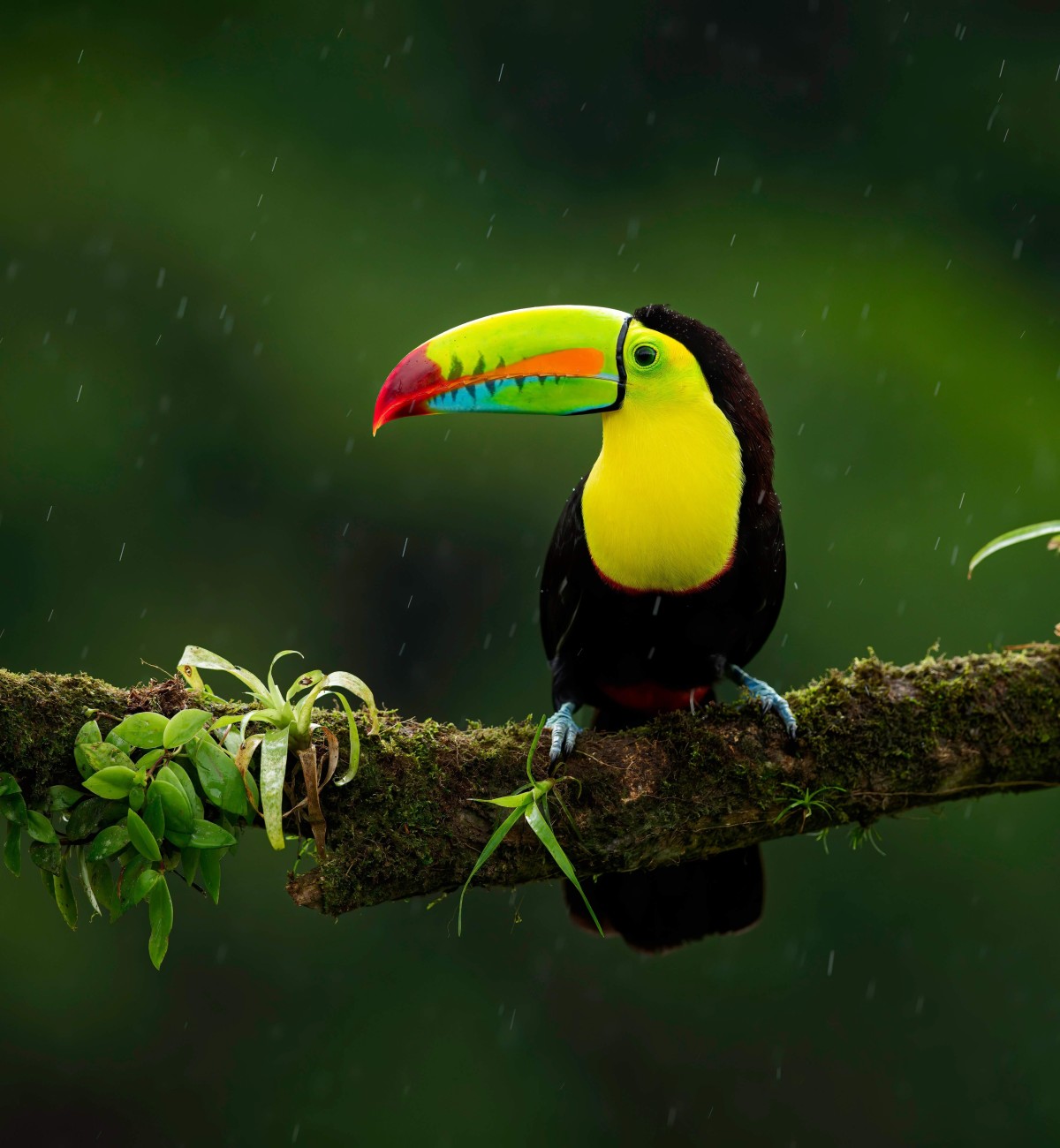 zdenek-machacek-jfWHzG7gIRw-unsplash (1) (1)