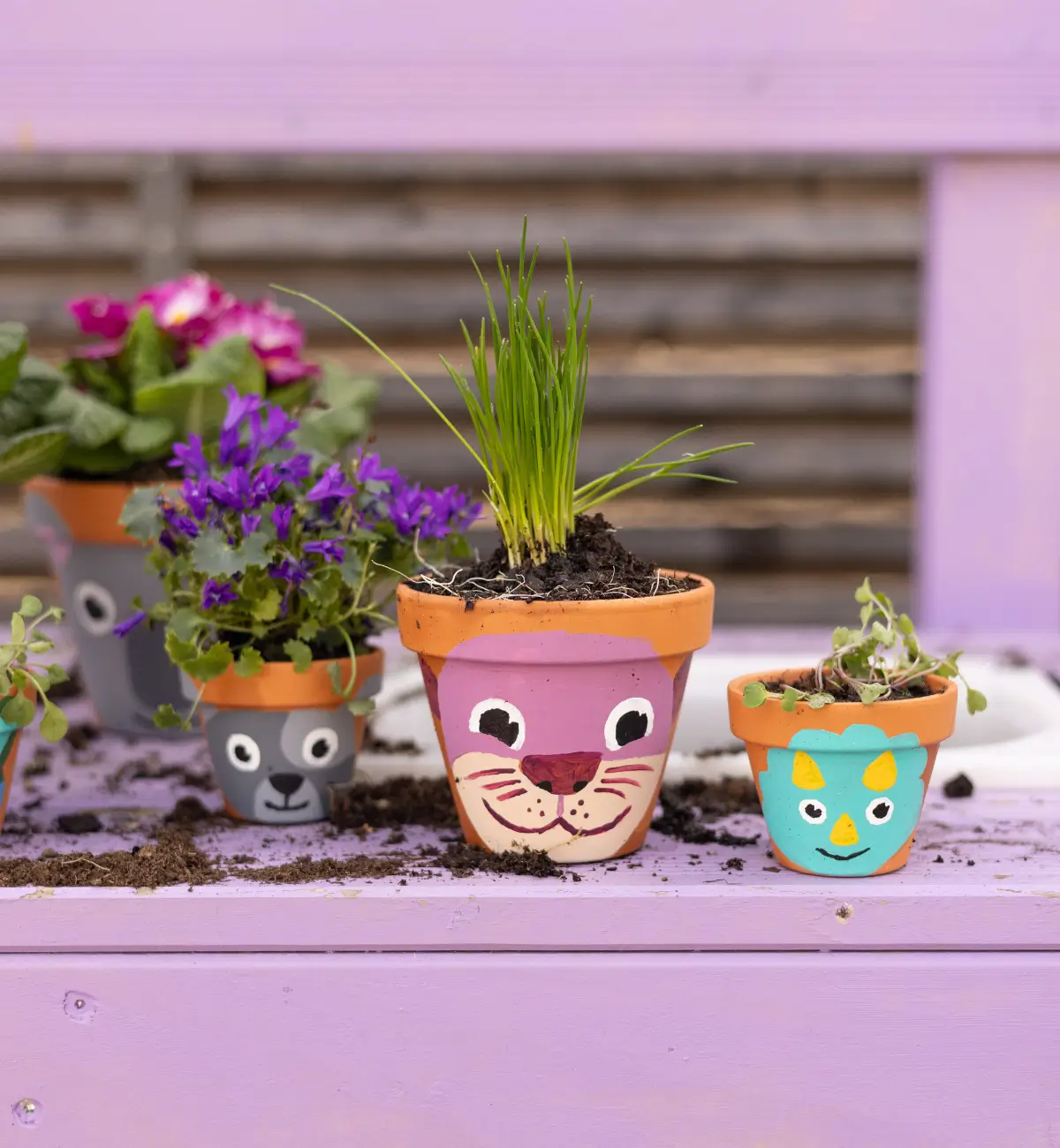 afz blog diy tierischetöpfe hero