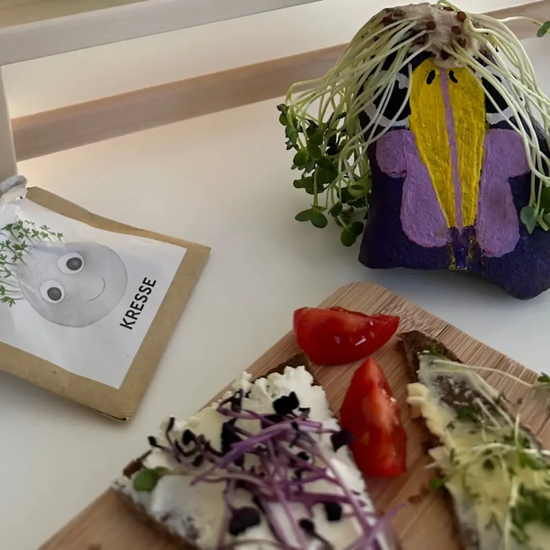 afz blog diy kressetiere