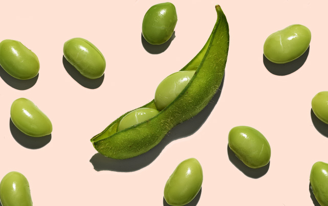 soy pods and bean flatlay on peach background