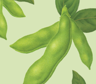 Soy beans on peach background