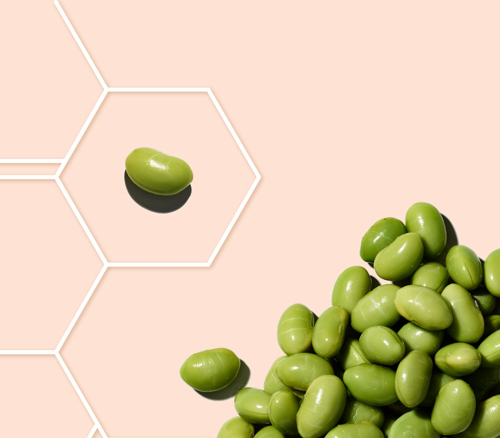 Soy beans on peach background