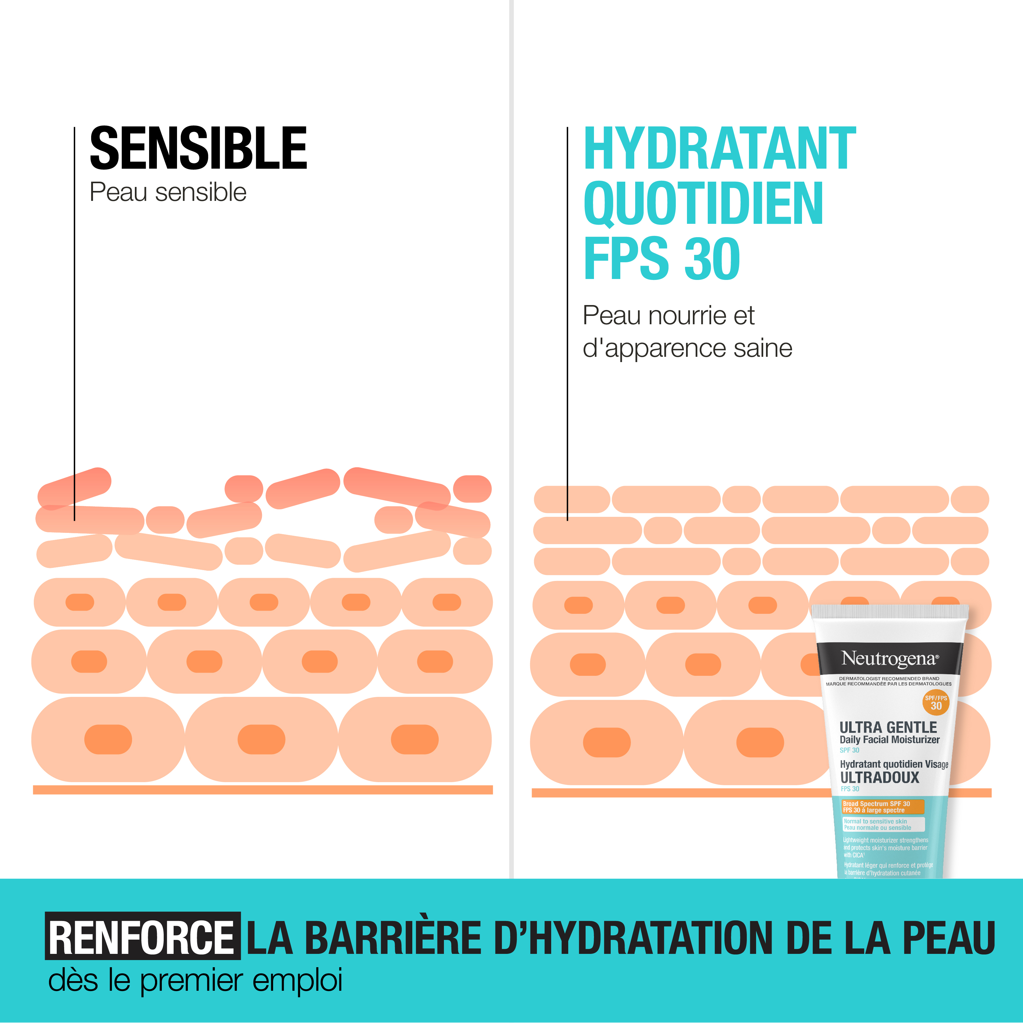 Illustration de la façon dont l’hydratant ultradoux avec FPS 30 Neutrogena® renforce la barrière d’hydratation de la peau sensible grâce au FPS 30 dès le premier emploi