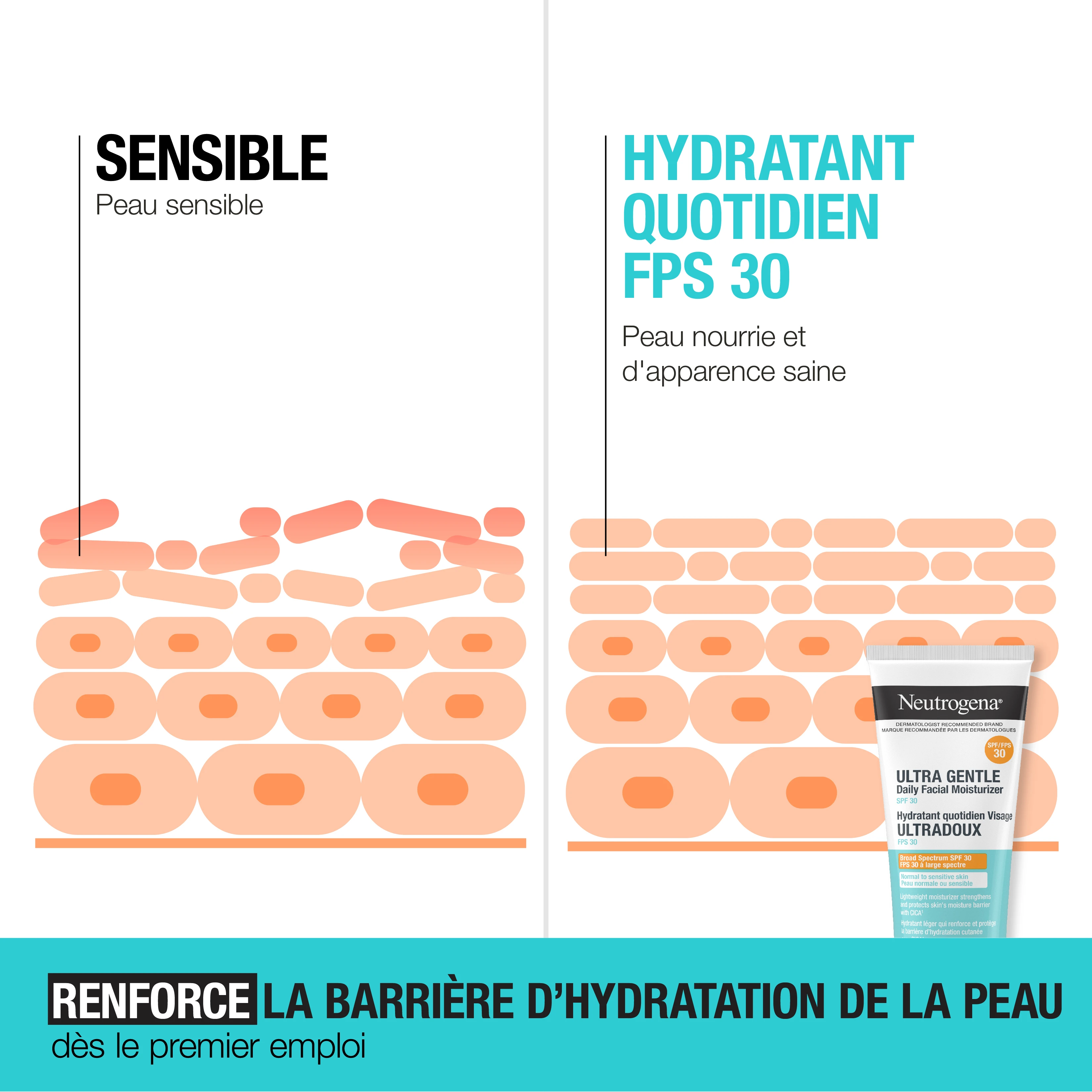 Illustration de la façon dont l’hydratant ultradoux avec FPS 30 Neutrogena® renforce la barrière d’hydratation de la peau sensible grâce au FPS 30 dès le premier emploi